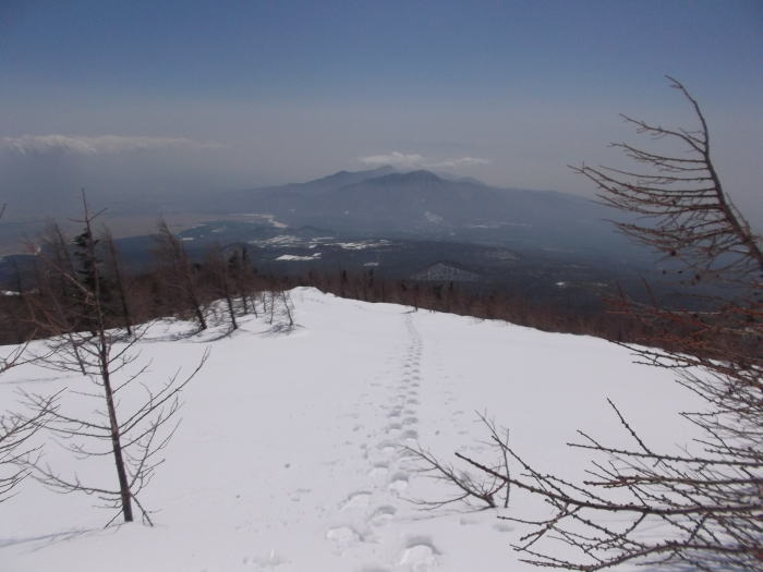 0316e.jpg