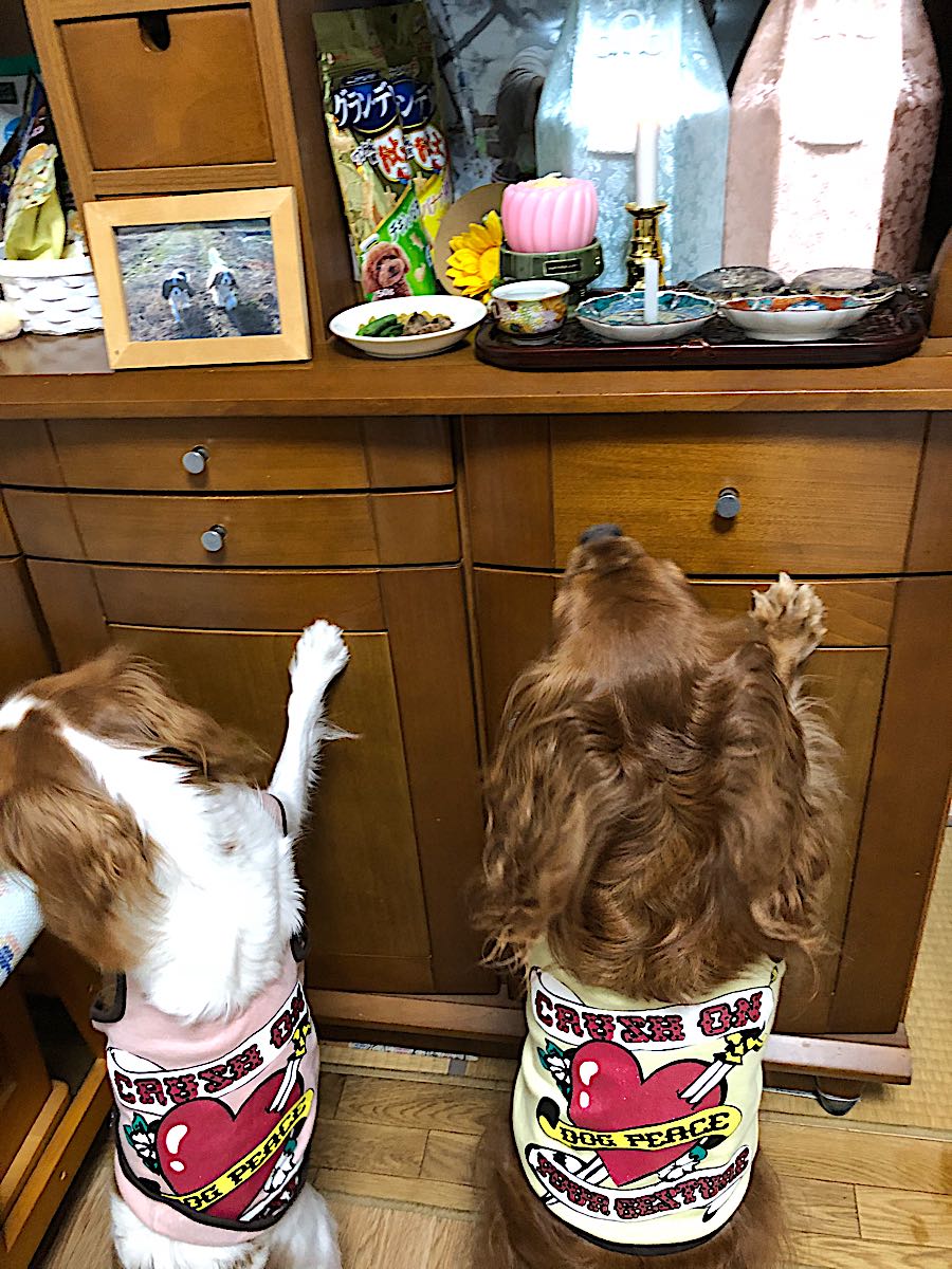 rblog-20181006212855-05.jpg