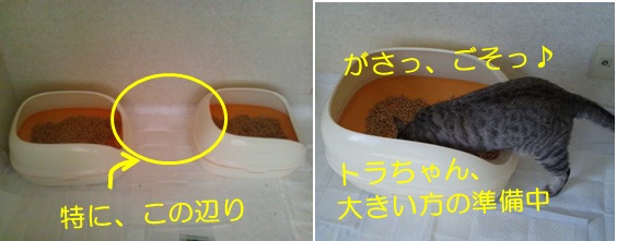 20120728_2.jpg