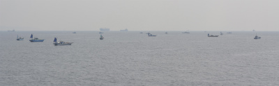 東京湾b