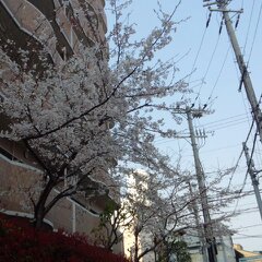 4月８日分 001.jpg