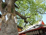 IMG_1585.JPG