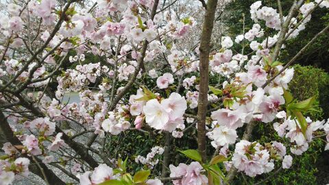 rblog-20150412151200-01.jpg