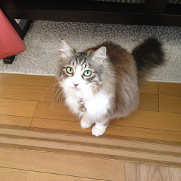 IMG_0678.PNG