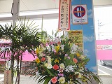 DSCF3779.jpg