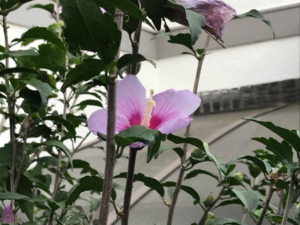 rblog-20180928162206-00.jpg