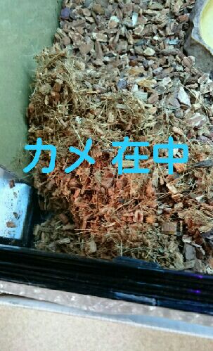 rblog-20151014194728-08.jpg