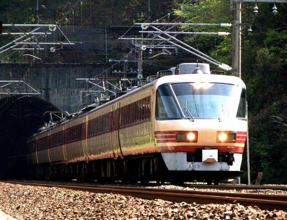 増結しません (tomix 485系(しらさぎ・新塗装)セットB