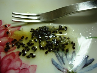 20120329 chile kiwi 2.jpg