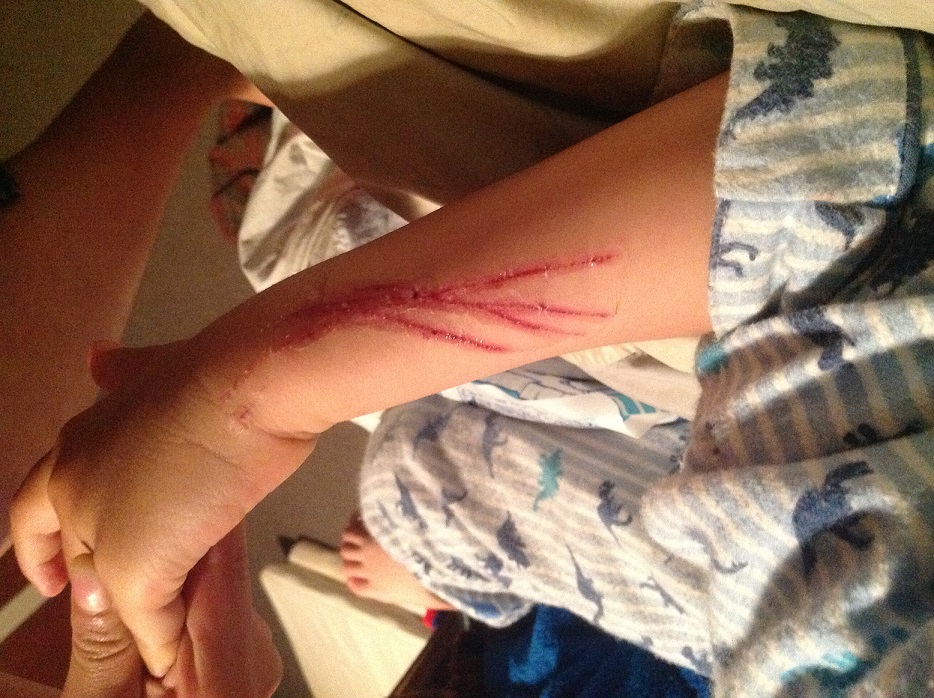 2015-12-29 22.24.282.jpg