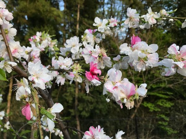 rblog-20180408180729-07.jpg