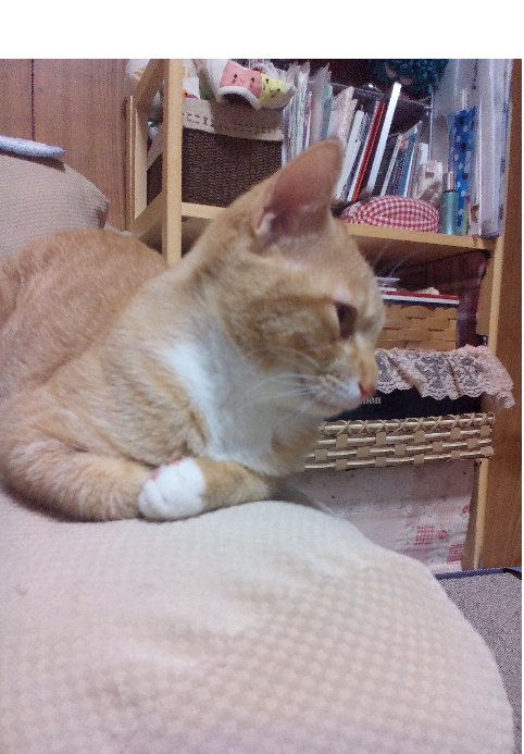 お手手が