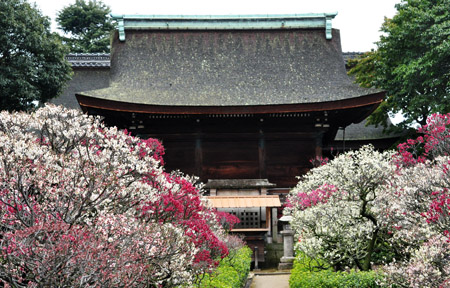梅２