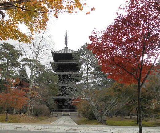 2015-11 仁和寺・五重塔.jpg