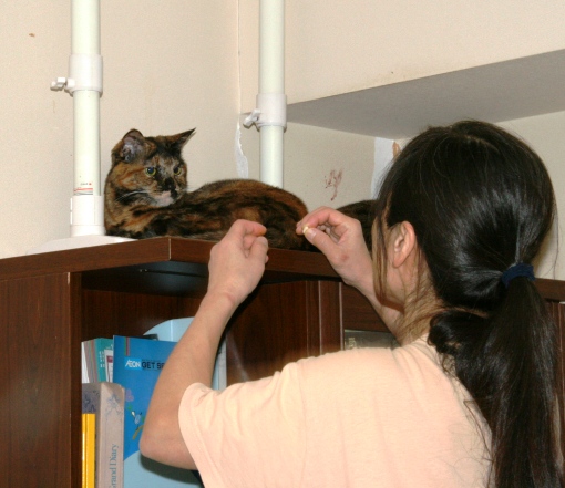 20150218ｻｺ_ｷｵ03.jpg