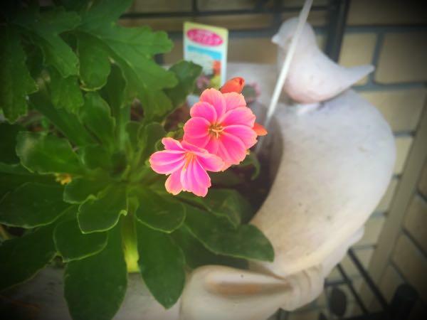 rblog-20160406142324-07.jpg