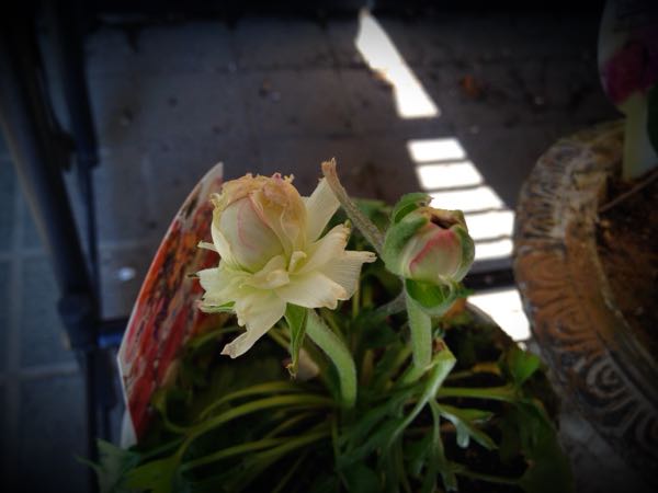 rblog-20141231140130-04.jpg