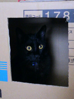 2013081714240000.jpg