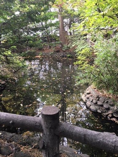 白石神社にお参りに行ってきた 3.8kmランニング | とーれこちょこちょ - 楽天ブログ