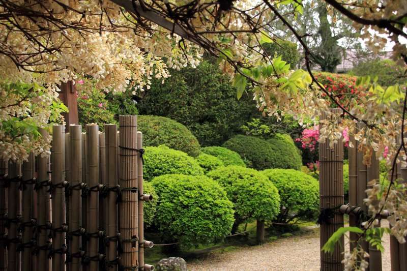 金剛寺_002.jpg