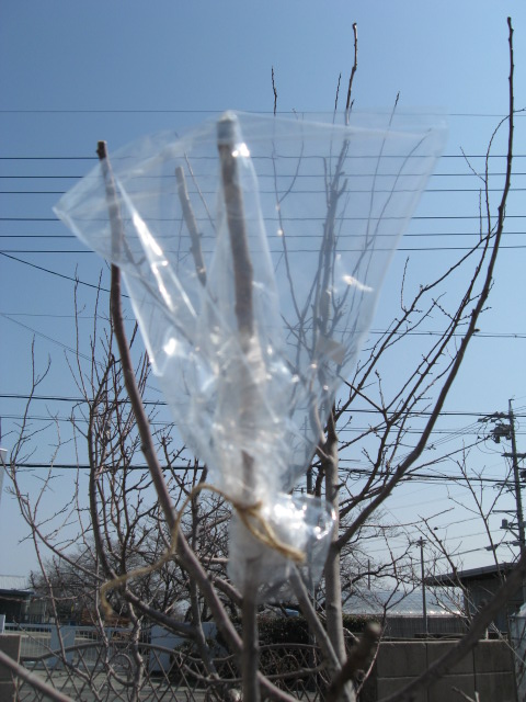 2012 03 11 008.jpg