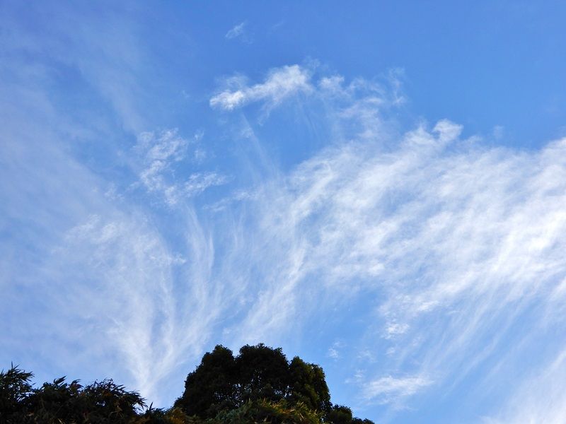 空2