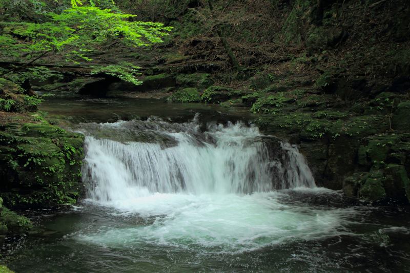 赤目四十八滝_14-5-琴滝.jpg