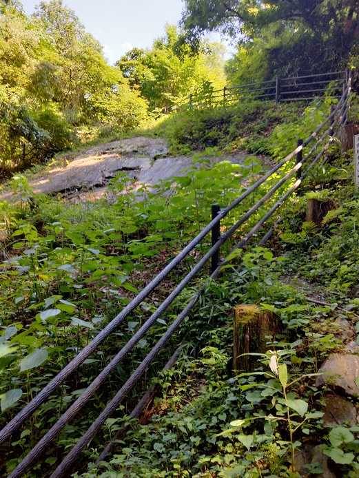 金鑚神社（かなさなじんじゃ）から御嶽山・御嶽城跡 低山登山 | 家一軒を解体してみたら いろいろやってみたくなる - 楽天ブログ