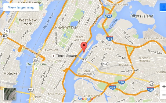 N.Y.City ルーズベルト島位置