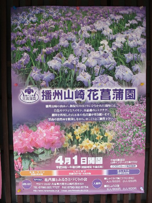 花菖蒲園パンフ.jpg