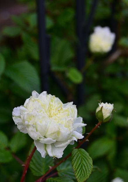 DSC_0292.JPG