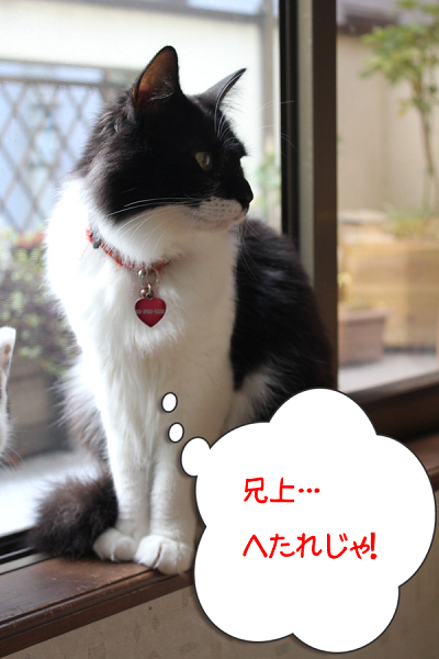 aceqrhnN6VocQLP1365739681_1365739912.png