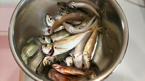 rblog-20180722085045-01.jpg