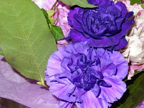 DSC00607_1.JPG