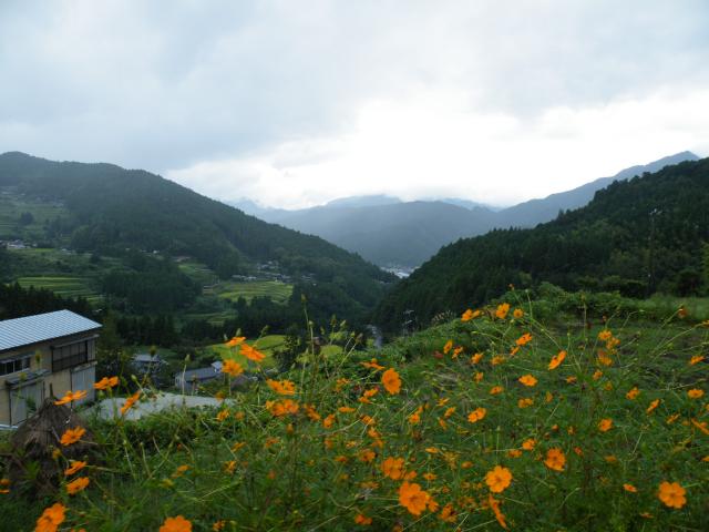 四国真ん中辺2016 (12).JPG