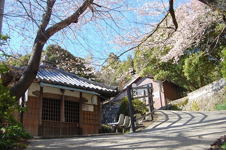 s-DSC_1889.jpg
