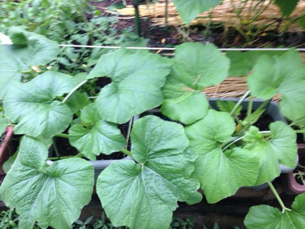 rblog-20160626204835-07.jpg