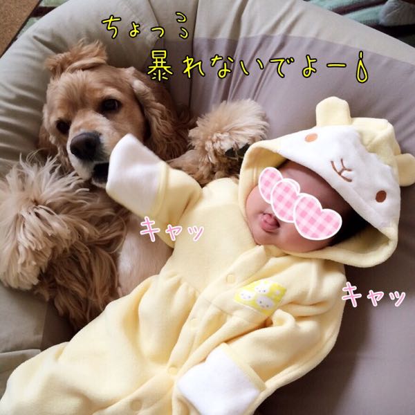 rblog-20150105121501-02.jpg