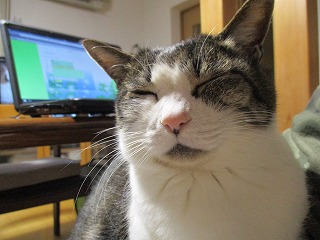 IMG_8996ss.jpg