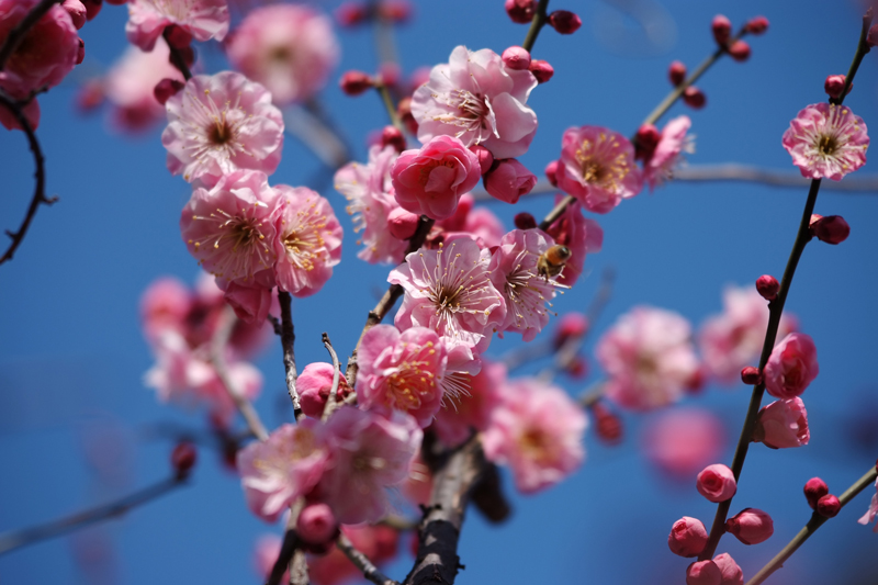 2013_02170075.jpg