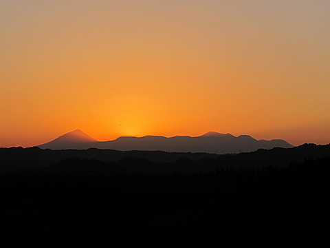 IMG_8903.jpg