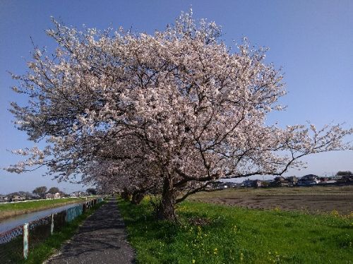 rblog-20180402175914-03.jpg