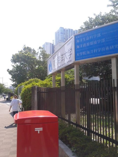 たかひろ君便り 海洋大学編 本日2回目 ピッコロ達と花と私のブログ 楽天ブログ