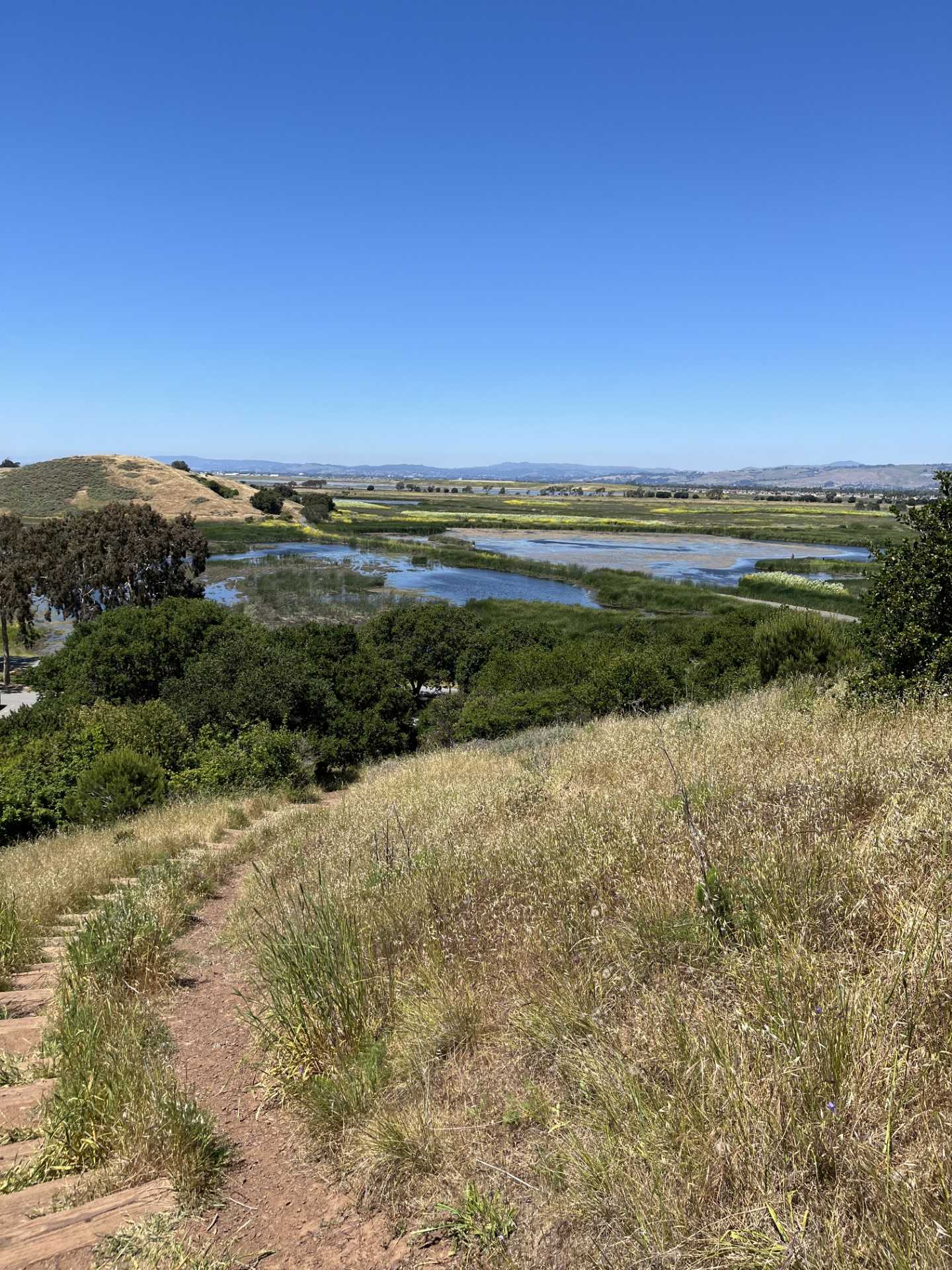 イーストベイのパーク オースティンからこんにちは。 楽天ブログ