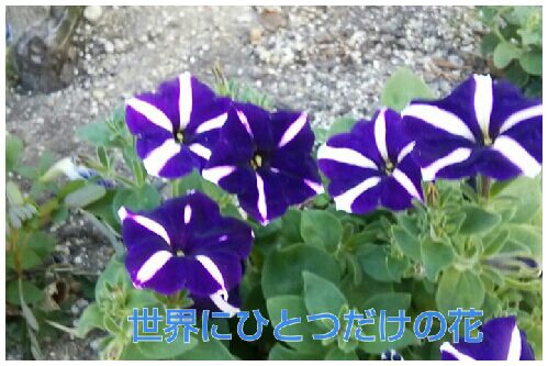 rblog-20160825194757-00.jpg