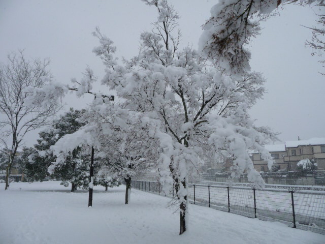 442 雪景色