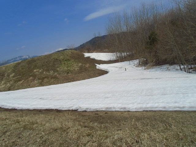 CIMG0245.jpg