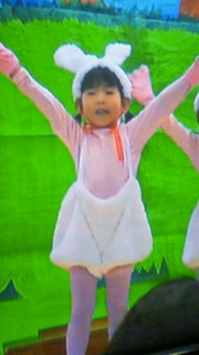 雛3.jpg