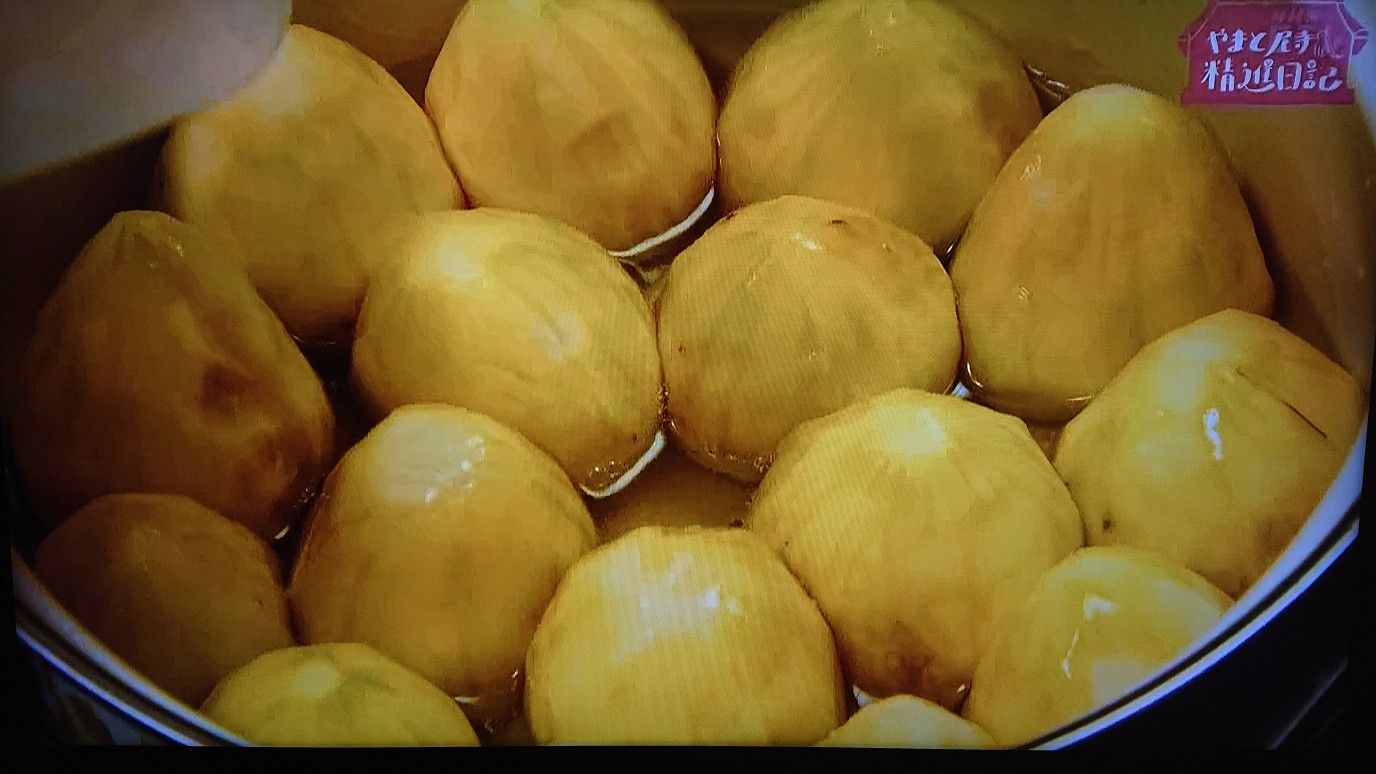 潤子 日記 尼寺 やまと さん 精進