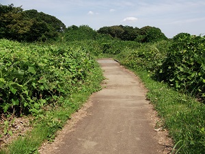 .馬入　道.jpg